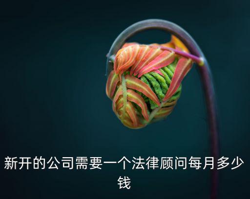 新開(kāi)的公司需要一個(gè)法律顧問(wèn)每月多少錢(qián)