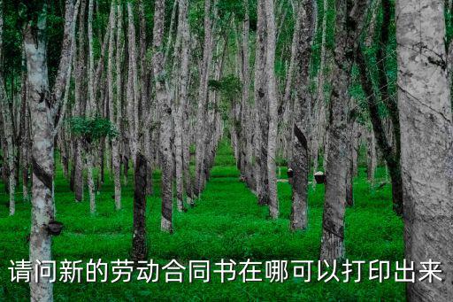 勞動(dòng)合同書 電子版怎么查詢打印，如何在網(wǎng)上查詢個(gè)人的勞動(dòng)合同資料呢