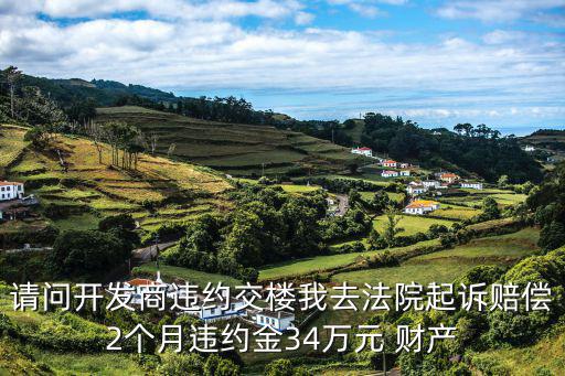 業(yè)主集體起訴開發(fā)商違約金，請(qǐng)問開發(fā)商違約交樓我去法院起訴賠償2個(gè)月違約金34萬元 財(cái)產(chǎn)