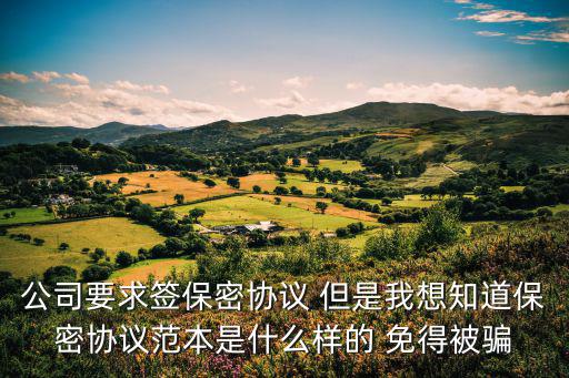 公司要求簽保密協(xié)議 但是我想知道保密協(xié)議范本是什么樣的 免得被騙
