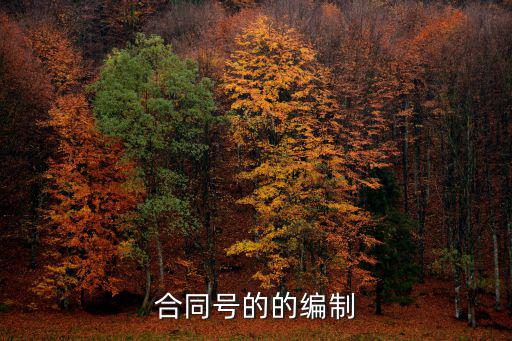 合同號的的編制