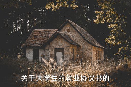 關(guān)于大學生的就業(yè)協(xié)議書的