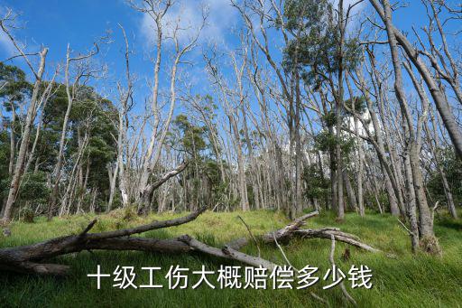 十級工傷大概賠償多少錢
