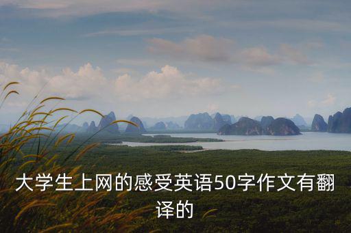 大學(xué)生上網(wǎng)的感受英語50字作文有翻譯的
