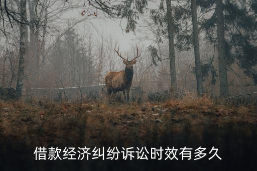 借款經(jīng)濟(jì)糾紛訴訟時(shí)效有多久