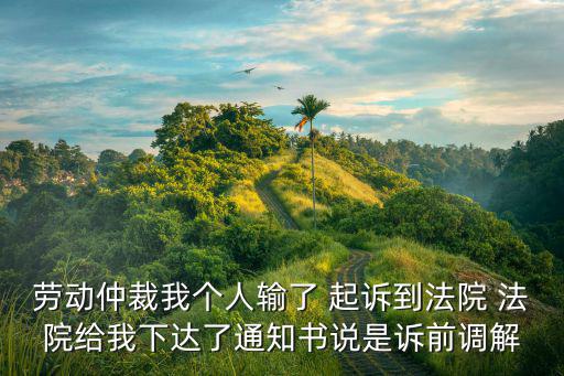 12368訴前調(diào)解短信真假，勞動仲裁我個人輸了 起訴到法院 法院給我下達了通知書說是訴前調(diào)解