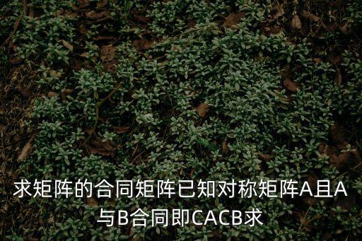 求矩陣的合同矩陣已知對(duì)稱(chēng)矩陣A且A與B合同即CACB求