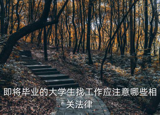 即將畢業(yè)的大學(xué)生找工作應(yīng)注意哪些相關(guān)法律