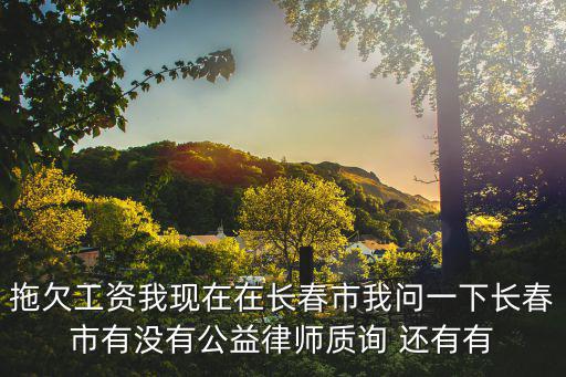 拖欠工資我現(xiàn)在在長春市我問一下長春市有沒有公益律師質(zhì)詢 還有有