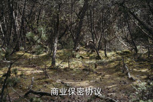 商業(yè)保密協(xié)議