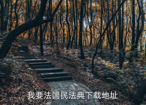 我要法國民法典下載地址