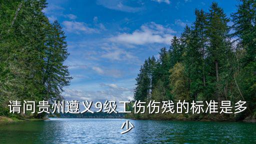 請問貴州遵義9級工傷傷殘的標(biāo)準(zhǔn)是多少