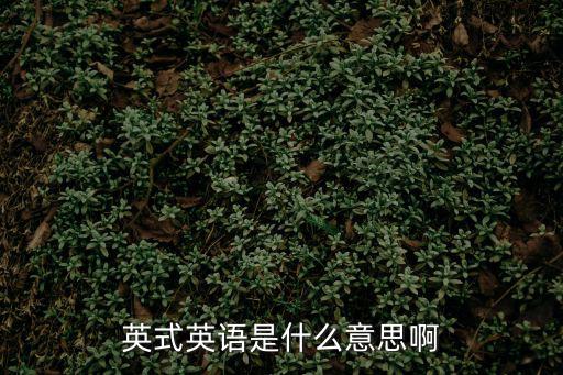 英式英語翻譯，英式英語單詞通常的怎么說