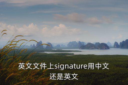 英文文件上signature用中文還是英文