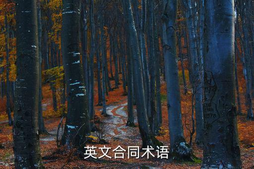 英文合同翻譯常見術(shù)語大全，求翻譯下面的合同術(shù)語中譯英