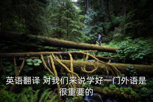 翻譯的意義與重要性，修辭的作用以及修辭的翻譯的重要性