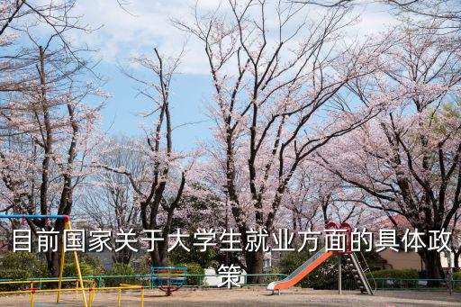 目前國家關(guān)于大學(xué)生就業(yè)方面的具體政策