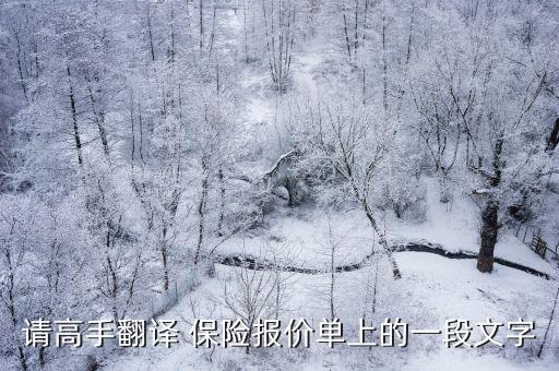 請高手翻譯 保險報價單上的一段文字
