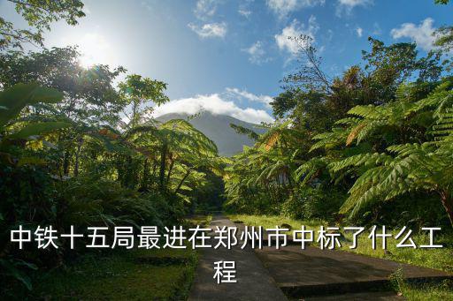 中鐵十五局最進(jìn)在鄭州市中標(biāo)了什么工程