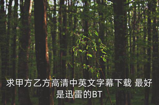 甲方乙方英文，電視劇潛伏中的主題曲深海的原歌名甲方乙方巴頓將軍