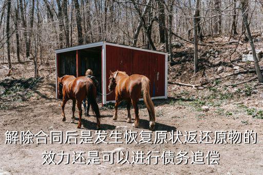 合同解除后的財產(chǎn)返還責任，合同解除后的返還金錢義務能否先息后本