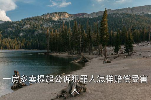 一房多賣打官司，一房多賣糾紛怎么解決