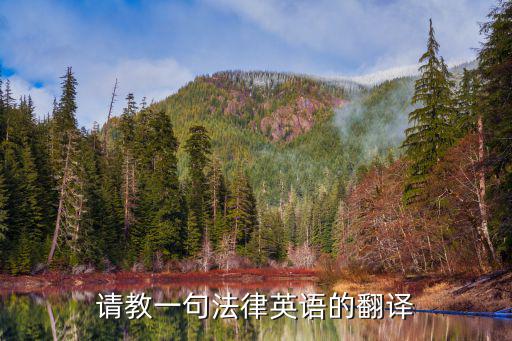 請教一句法律英語的翻譯