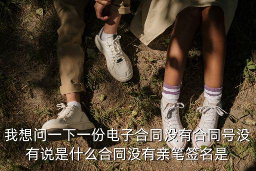 我想問一下一份電子合同沒有合同號(hào)沒有說(shuō)是什么合同沒有親筆簽名是