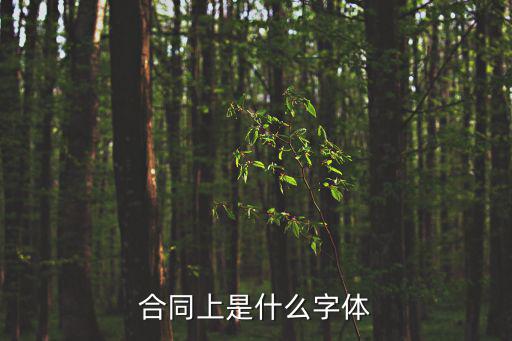 合同上是什么字體