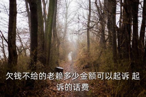 欠錢不給的老賴多少金額可以起訴 起訴的話費(fèi)