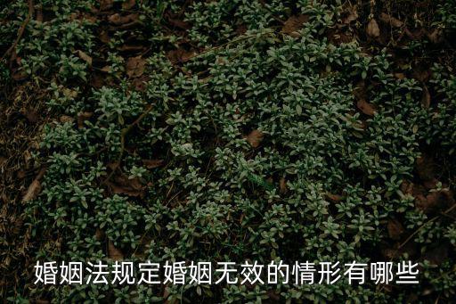 民法典規(guī)定無(wú)效婚姻的情形，哪些情況屬于無(wú)效婚姻