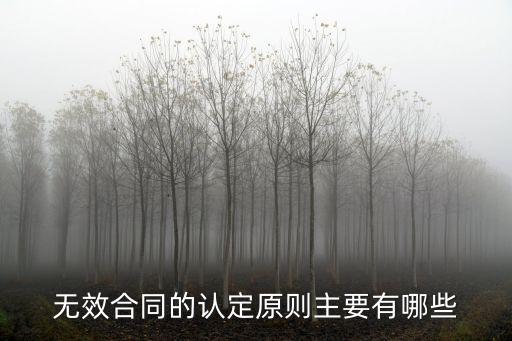 無(wú)效合同的認(rèn)定原則主要有哪些