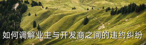 如何調(diào)解業(yè)主與開發(fā)商之間的違約糾紛