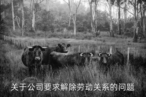 關(guān)于公司要求解除勞動(dòng)關(guān)系的問題