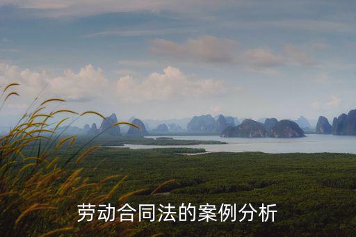 勞動合同法案例分析報告，勞動合同法案例分析3