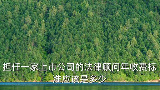 企業(yè)法律顧問一年多少錢工資，企業(yè)法律顧問年薪多少