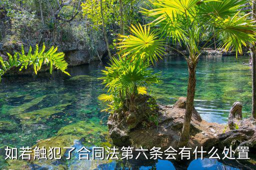 如若觸犯了合同法第六條會(huì)有什么處置