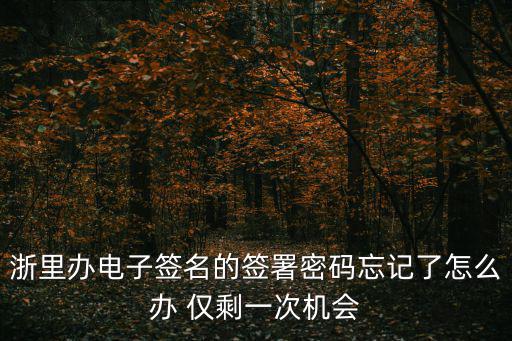 電子契約鎖，浙里辦電子簽名的簽署密碼忘記了怎么辦 僅剩一次機(jī)會(huì)