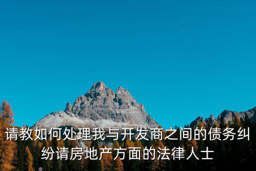 請教如何處理我與開發(fā)商之間的債務(wù)糾紛請房地產(chǎn)方面的法律人士