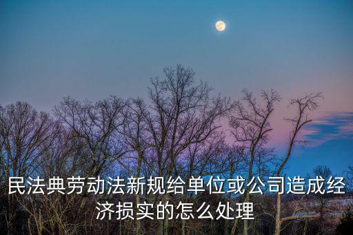 民法典勞動法新規(guī)給單位或公司造成經(jīng)濟(jì)損實的怎么處理