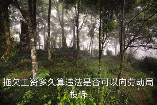 拖欠工資多久算違法是否可以向勞動局投訴