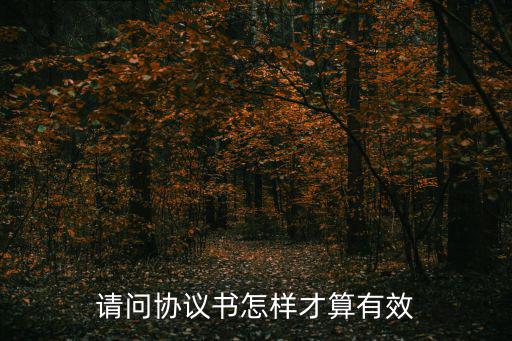 請問協(xié)議書怎樣才算有效