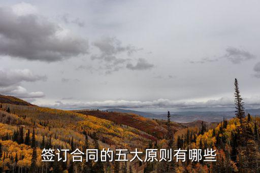 請(qǐng)分析合同訂立的基本原則，簽訂合同的五大原則有哪些