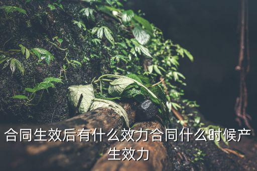 合同生效與合同效力，合同的成立與合同生效的區(qū)別主要有哪些