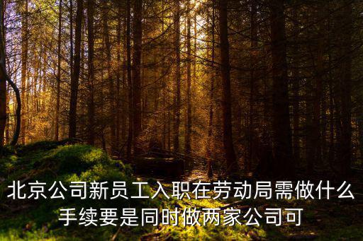 入職兩家公司能查出來嗎，同時(shí)任職兩家公司如果公司請律師查能查出我在哪家公任職過嗎
