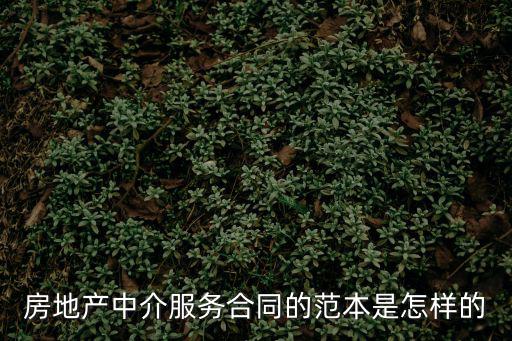 房地產(chǎn)中介服務(wù)合同的范本是怎樣的