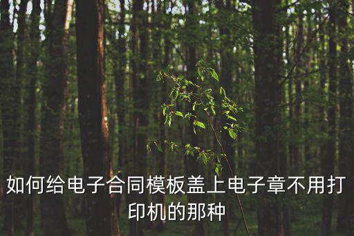 如何給電子合同模板蓋上電子章不用打印機(jī)的那種