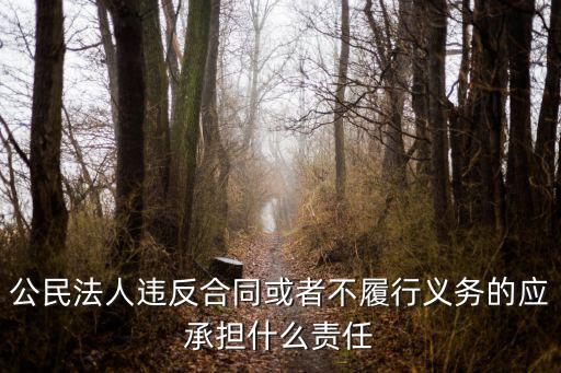 公民法人違反合同或者不履行義務(wù)的應(yīng)承擔(dān)什么責(zé)任