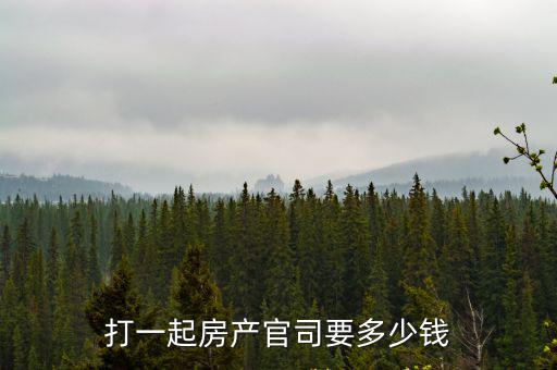 打一起房產(chǎn)官司要多少錢