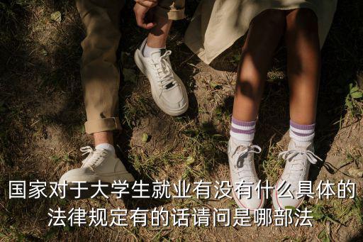 國(guó)家對(duì)于大學(xué)生就業(yè)有沒(méi)有什么具體的法律規(guī)定有的話請(qǐng)問(wèn)是哪部法